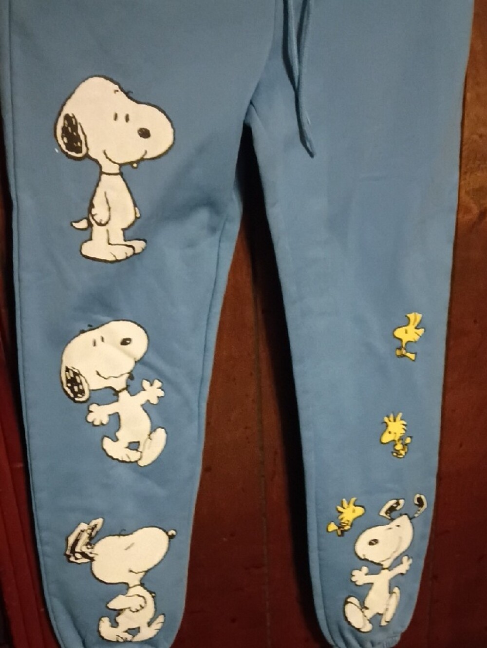 Peanuts Light Blue Snoopy & Woodstock Joggers - Picture 2 of 4